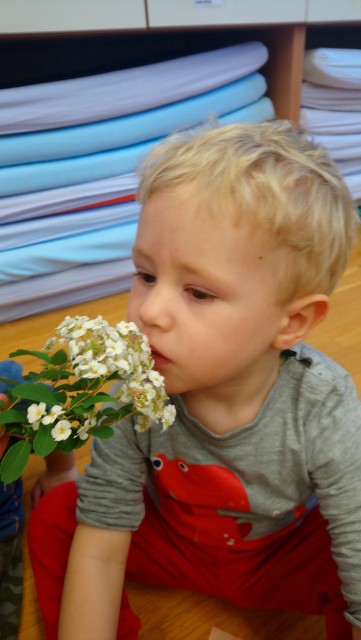 Naše dejavnosti-Levčki - foto
