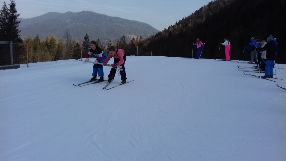 Planica 2019 (4.,5.,6.) - foto povečava