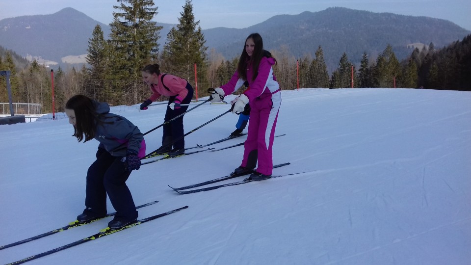 Planica 2019 (4.,5.,6.) - foto povečava