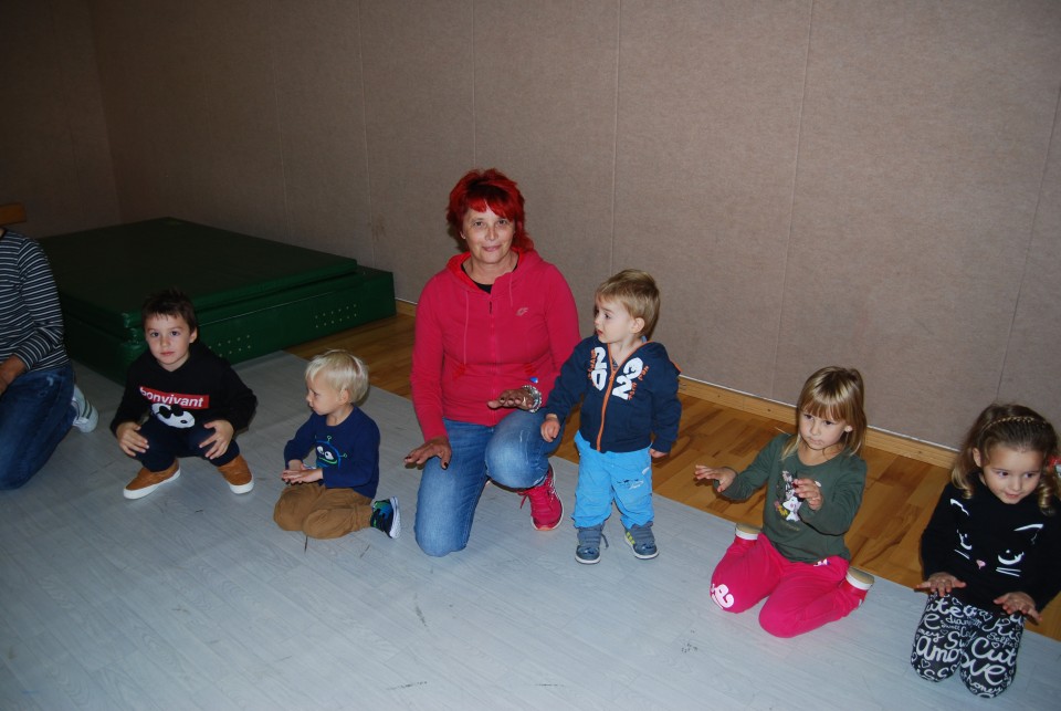 Razstava starih predmetov ter babice in dedki - foto povečava