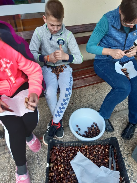 CŠOD RADENCI 7. 10. - 11. 10. 2019 - foto