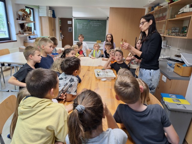 CŠOD LIPA - foto