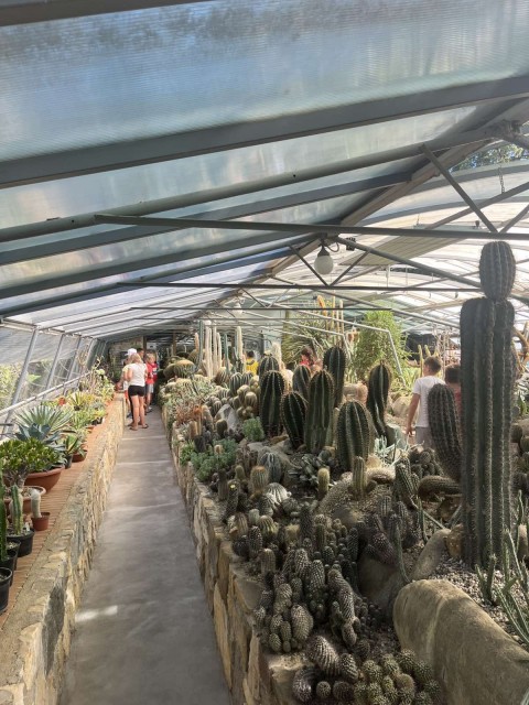 Plavalna šola v naravi - Seča 2025 - foto