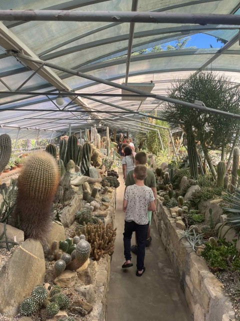 Plavalna šola v naravi - Seča 2025 - foto