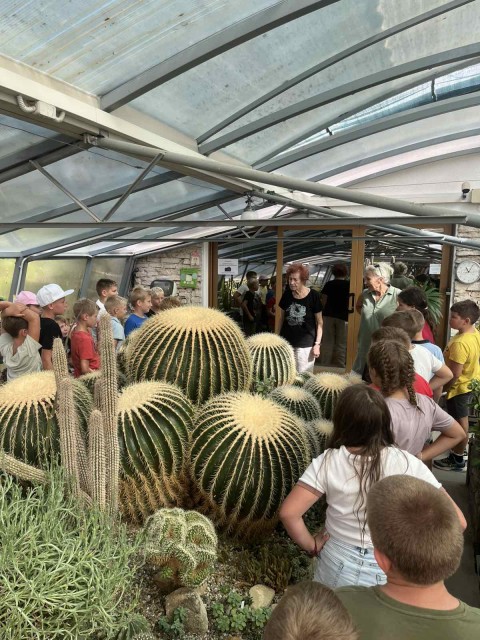 Plavalna šola v naravi - Seča 2025 - foto