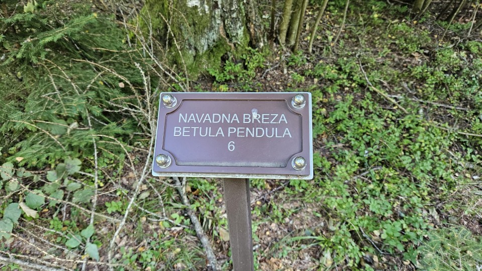Šola v naravi 2023 4. - 6. razred - foto povečava