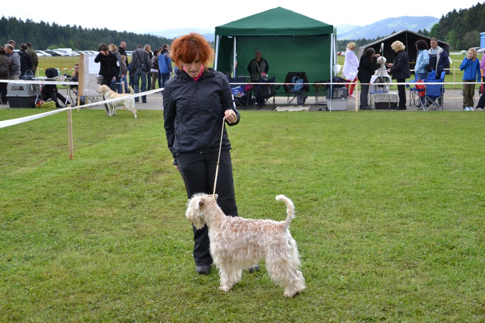 CAC Koroška - maj 2012 - foto povečava