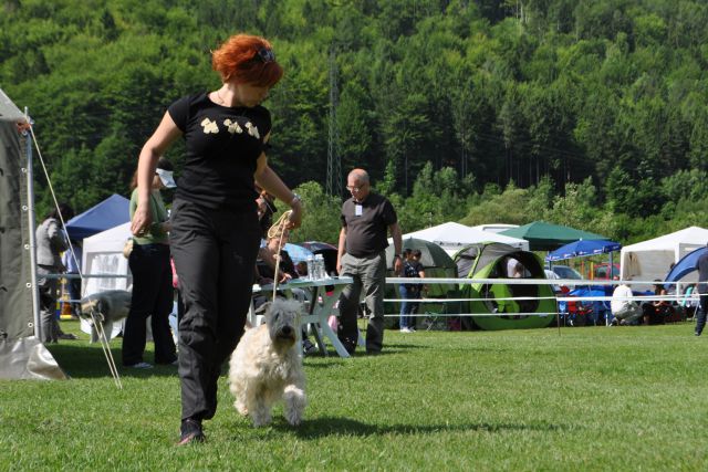 CAC Hrušica maj 2012 - foto