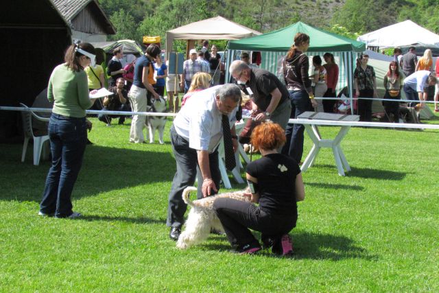 CAC Hrušica maj 2012 - foto