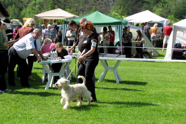 CAC Hrušica maj 2012 - foto