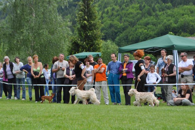 CAC Hrušica maj 2012 - foto