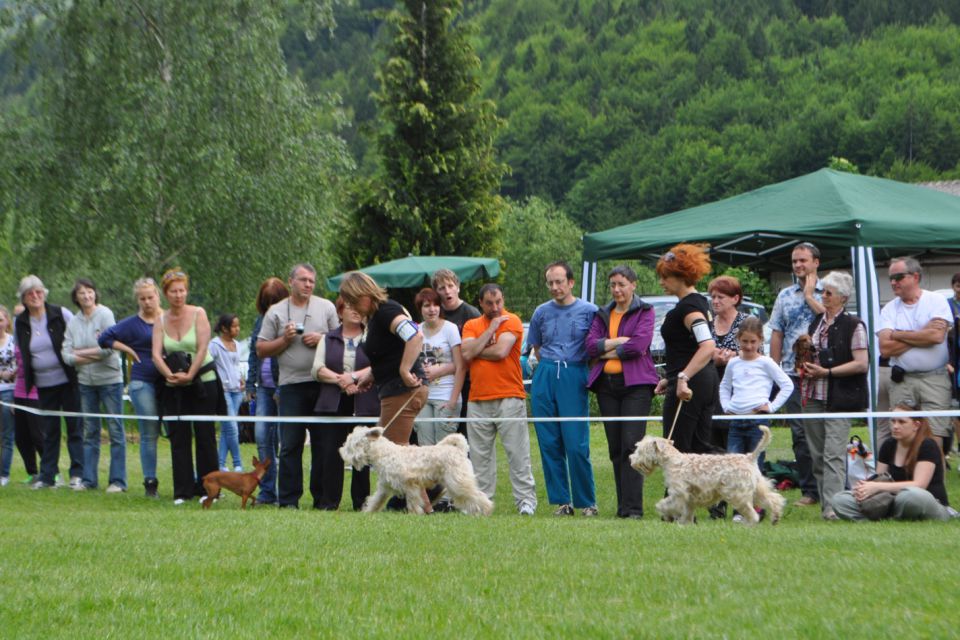 CAC Hrušica maj 2012 - foto povečava