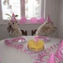Tessa 6. rojstni dan avgust 2012