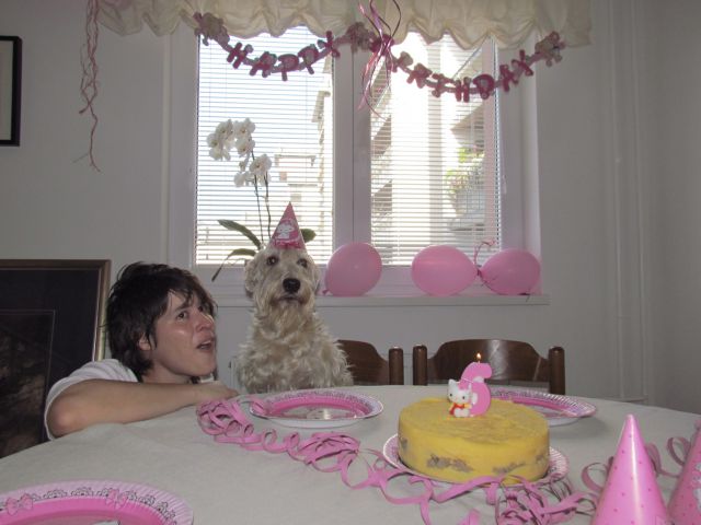 Tessa 6. rojstni dan avgust 2012 - foto