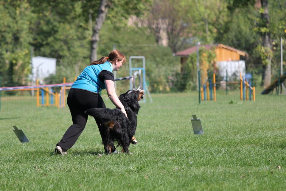 5. državna tekma - KD Maribor sep. 2012 - foto povečava