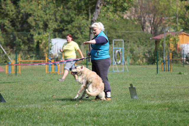 5. državna tekma - KD Maribor sep. 2012 - foto