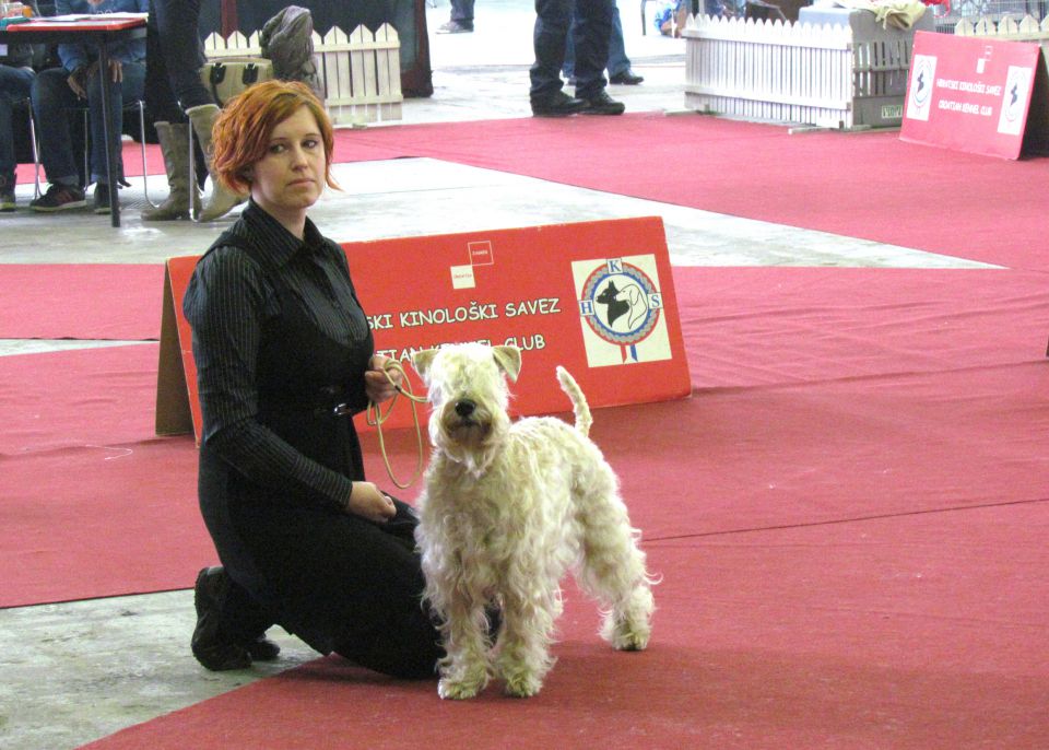 CACIB zagreb 9. in 10.3.2013 - foto povečava