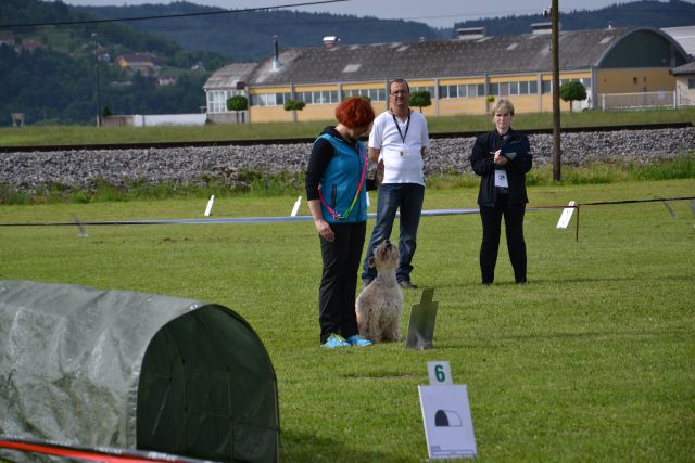 Ro 2. drzavna tekma KD Grosuplje, maj 2013 - foto