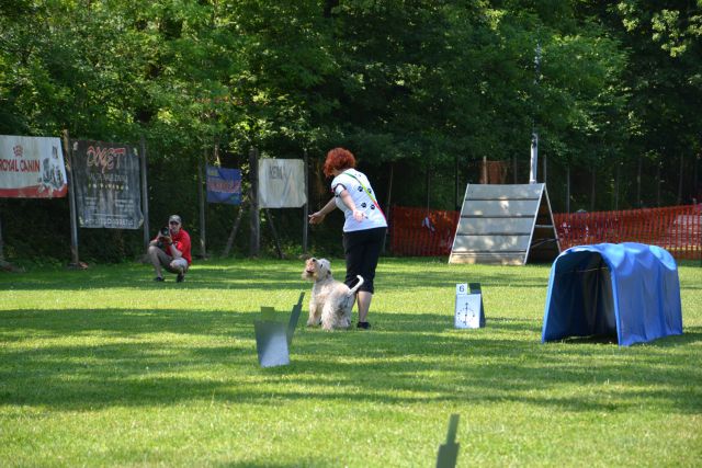 Ro 4. drzavna tekma kd ljubljana, junij 2013 - foto