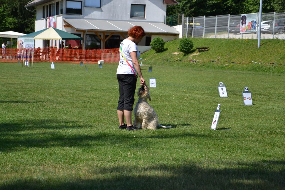 Ro 4. drzavna tekma kd ljubljana, junij 2013 - foto povečava