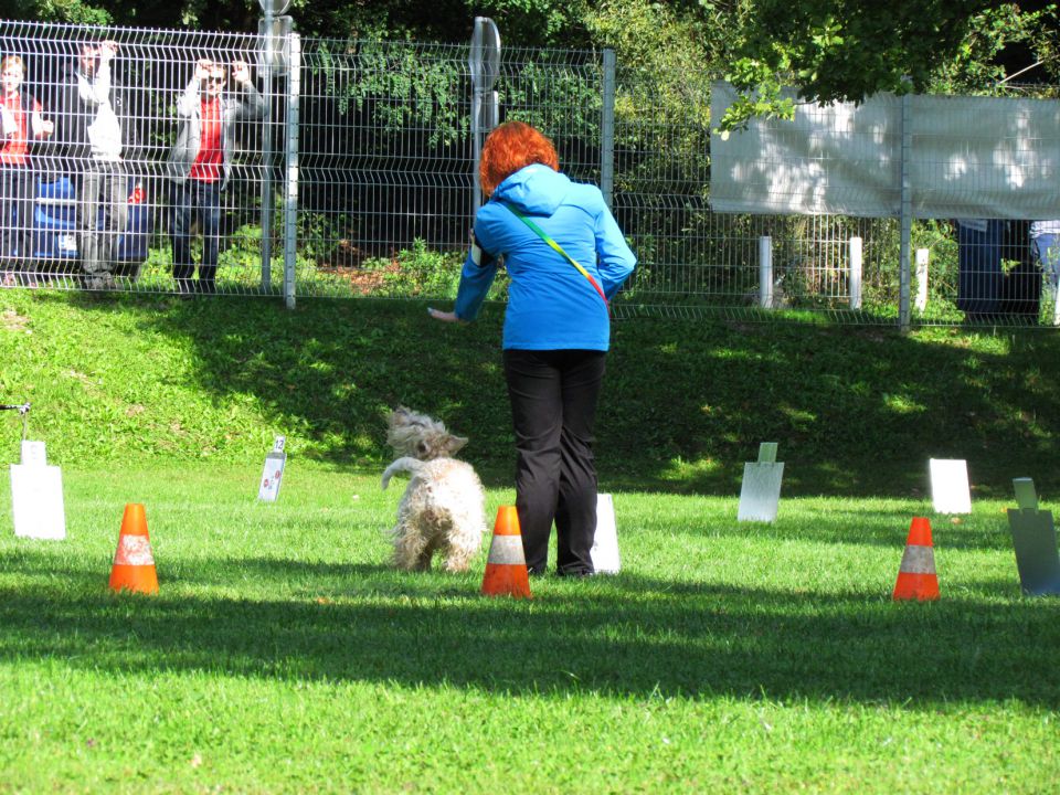 6. državna tekma - KD Ljubljana sep. 2013 - foto povečava