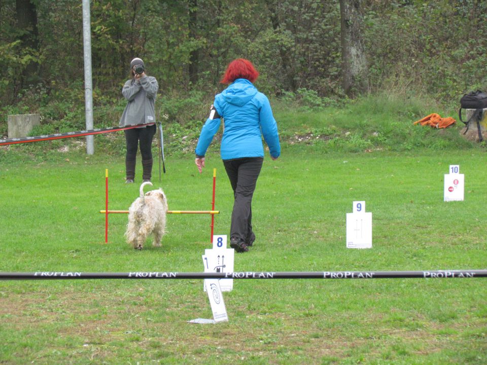 7. državna tekma - KD Duplica okt. 2013 - foto povečava