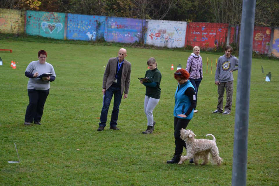 8. državna tekma - KD Kamnik, okt. 2013 - foto povečava