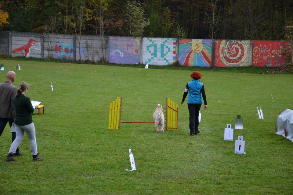 8. državna tekma - KD Kamnik, okt. 2013 - foto povečava