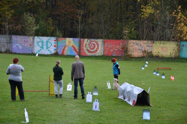 8. državna tekma - KD Kamnik, okt. 2013 - foto