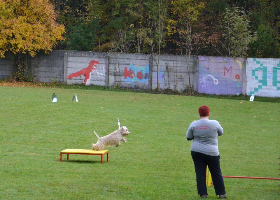 8. državna tekma - KD Kamnik, okt. 2013 - foto povečava