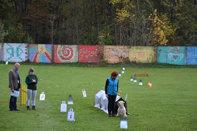 8. državna tekma - KD Kamnik, okt. 2013 - foto