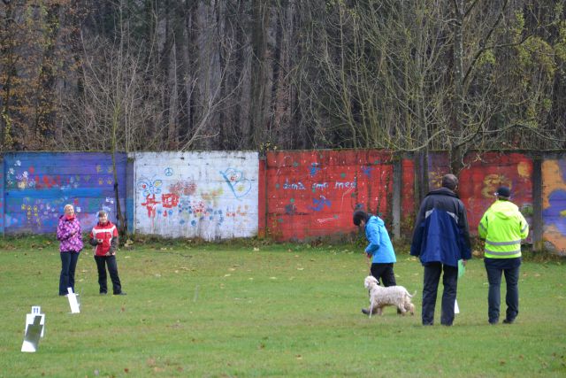 Ro izpiti - kd kamnik nov. 2013 - foto