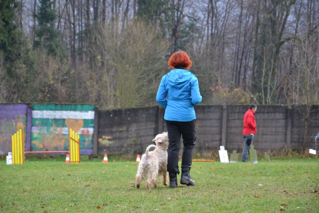 Ro izpiti - kd kamnik nov. 2013 - foto