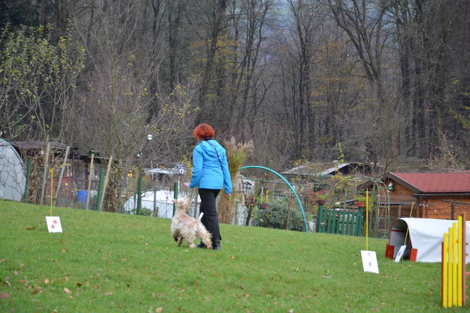 Ro izpiti - kd kamnik nov. 2013 - foto povečava