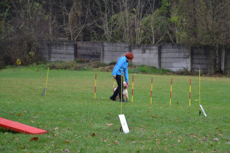 Ro izpiti - kd kamnik nov. 2013 - foto povečava