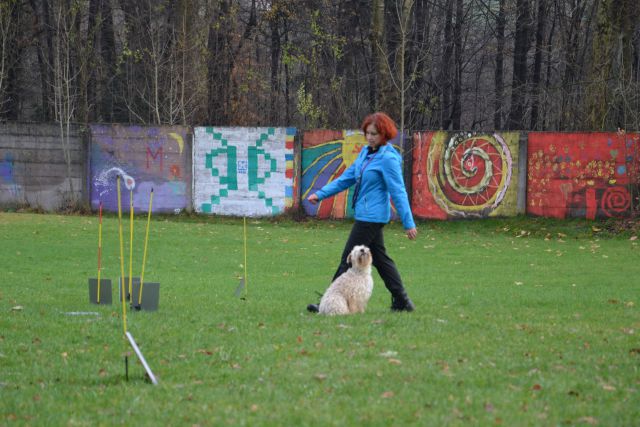 Ro izpiti - kd kamnik nov. 2013 - foto