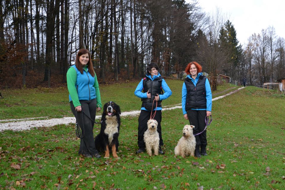 Ro izpiti - kd kamnik nov. 2013 - foto povečava