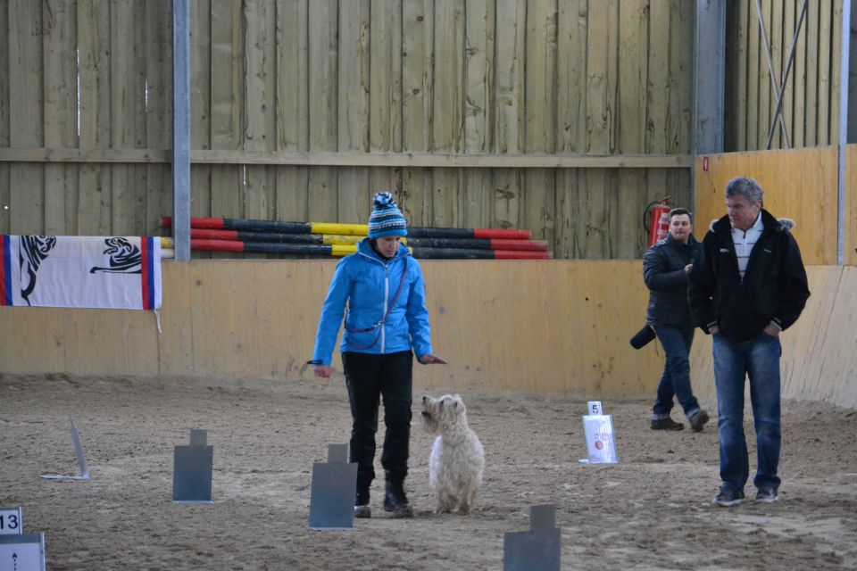 Dobrodelna tekma ”RO Z NAMENOM” FEBRUAR 2014 - foto povečava