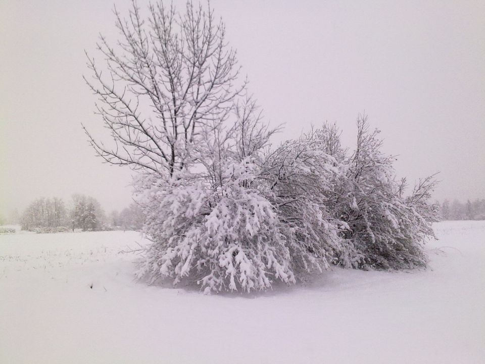 Zima - foto povečava