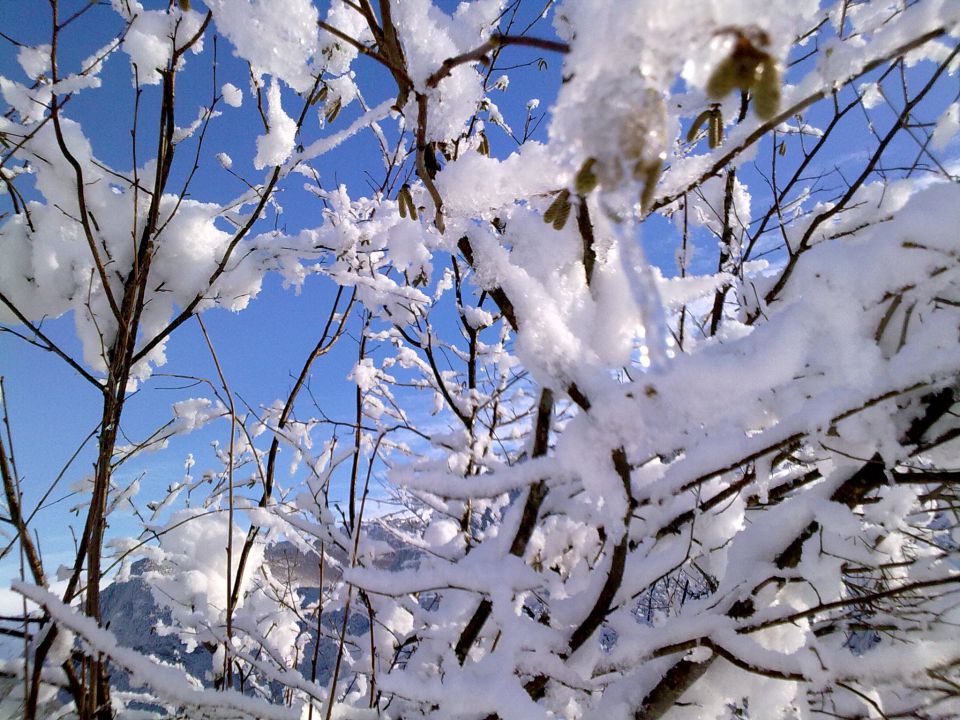 Zima - foto povečava