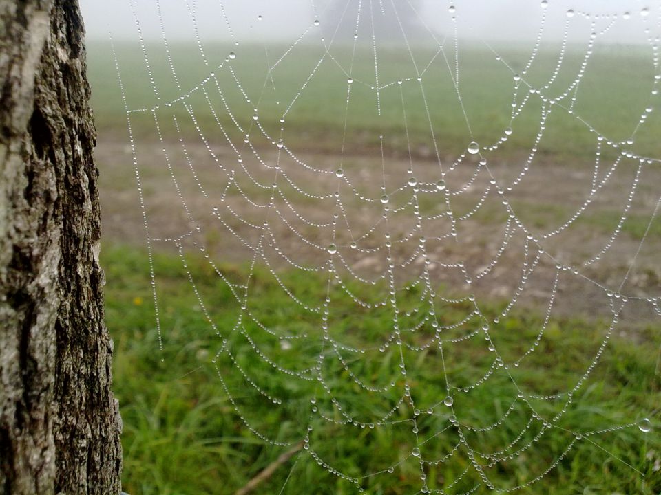 Meglice pletejo - foto povečava