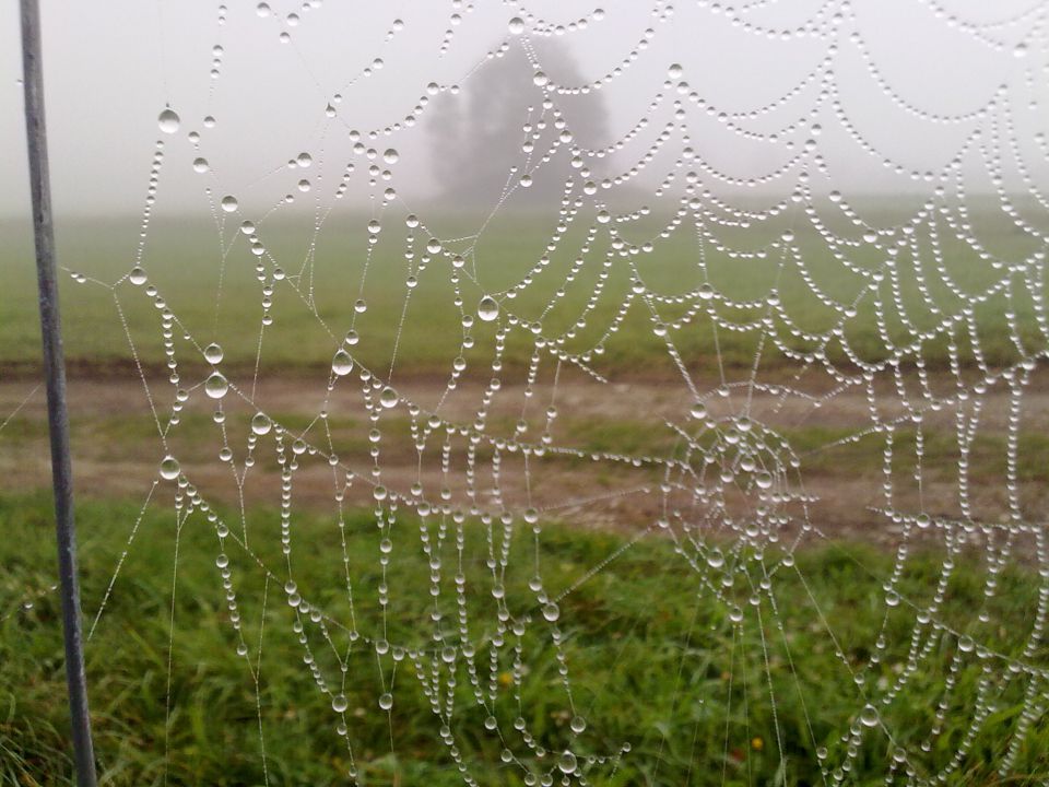 Meglice pletejo - foto povečava