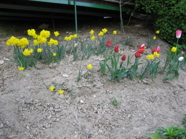 Rož'ce, zeliščni vrt - foto