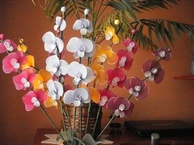 Vzorci barv za orhideje