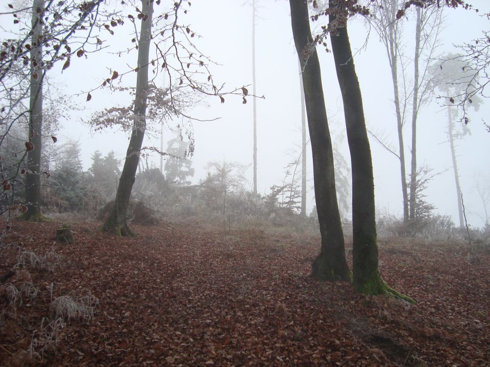 Tako mav - foto povečava