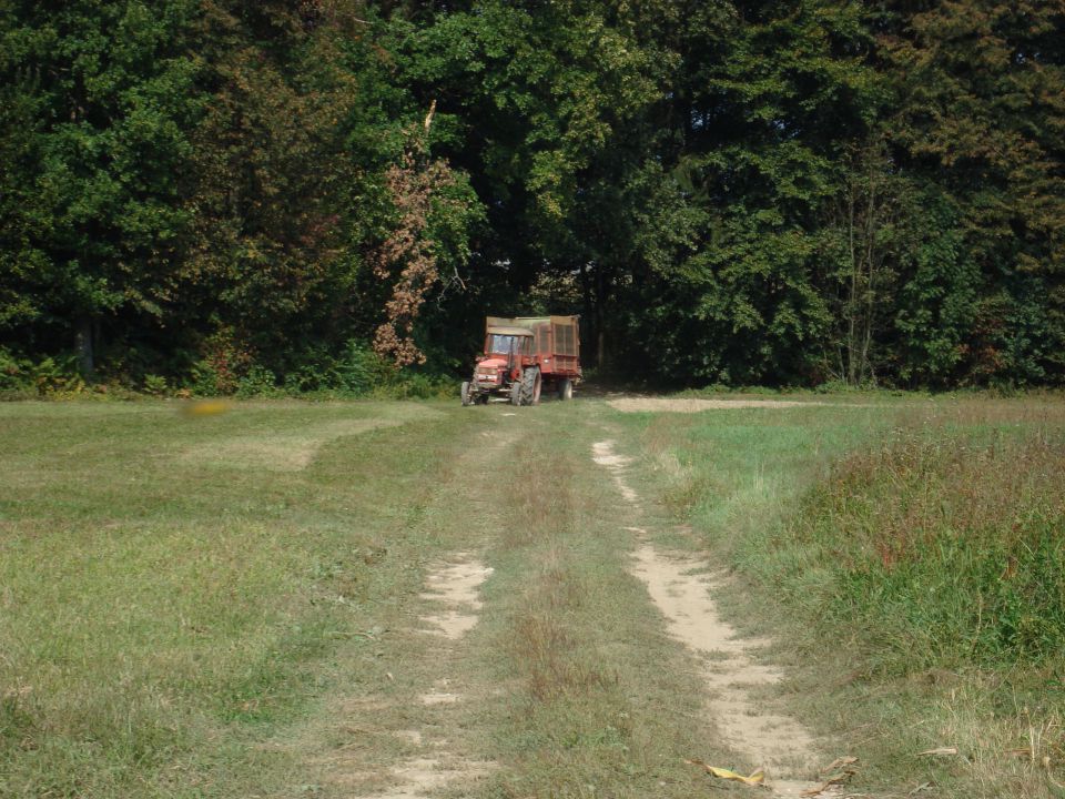 Silaža 2011 - foto povečava