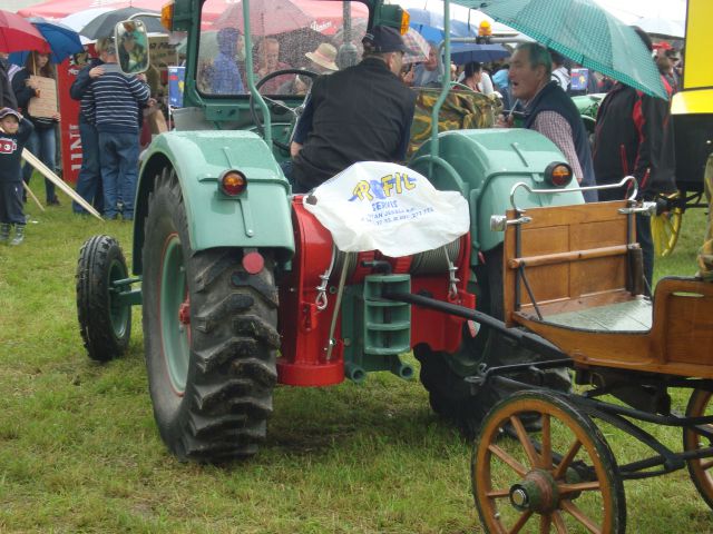 STARODOBNIKI JABLE  - foto