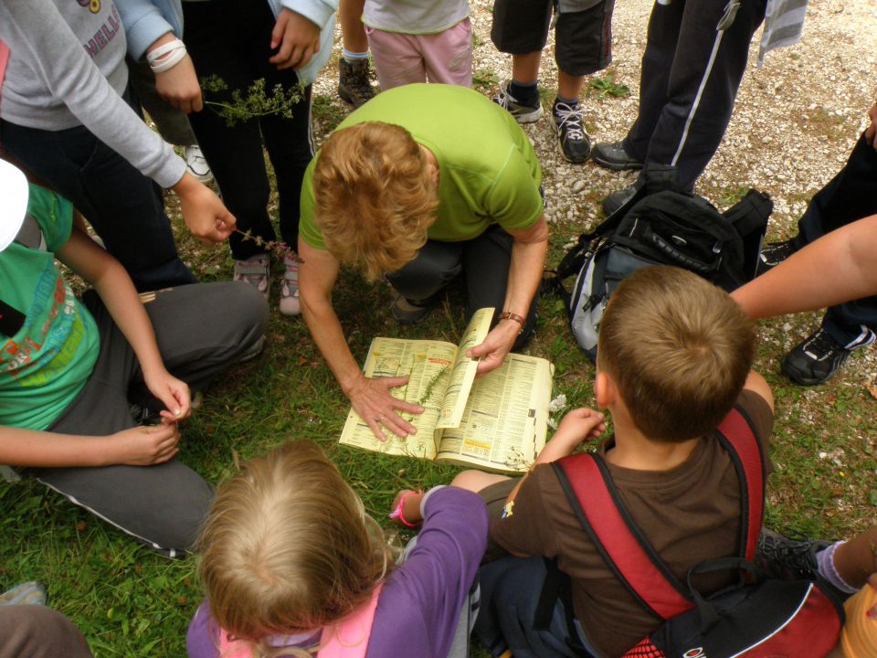 Blagajana 2011 - foto povečava