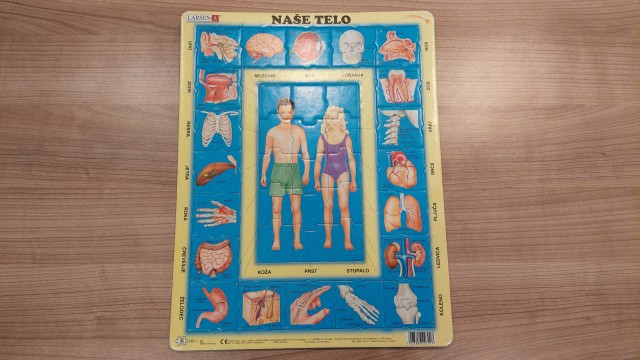 Sestavljanka Naše telo - 7€