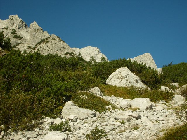 Logarska dolina - foto